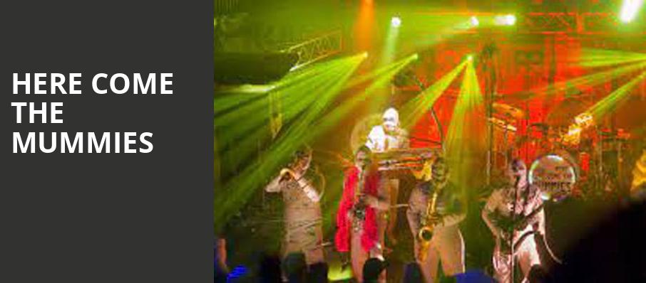 Here Come The Mummies, Musikfest Cafe, Philadelphia