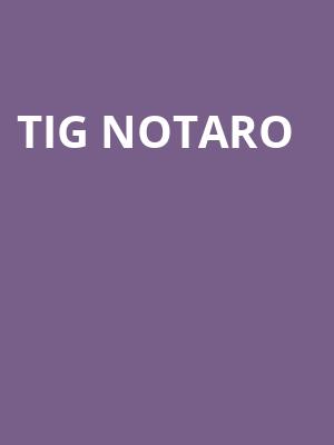 Tig Notaro Poster