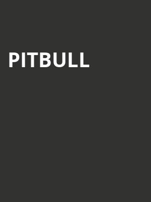 Pitbull, BBT Pavilion, Philadelphia