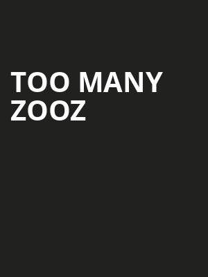 Too Many Zooz Poster