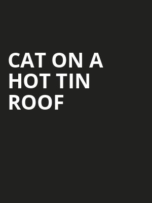 Cat On A Hot Tin Roof Poster