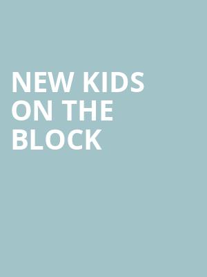 New Kids On The Block, TD Pavilion, Philadelphia