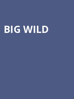 Big Wild, Union Transfer, Philadelphia