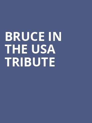Bruce In The USA Tribute Poster