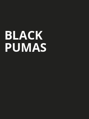 Black Pumas Poster