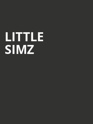 Little Simz, Theatre Of The Living Arts, Philadelphia