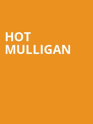 Hot Mulligan Poster