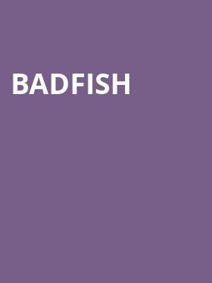 Badfish, The Ardmore Music Hall, Philadelphia