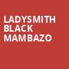 Ladysmith Black Mambazo, Zellerbach Theater, Philadelphia
