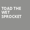 Toad the Wet Sprocket, Keswick Theater, Philadelphia