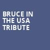 Bruce In The USA Tribute, Penns Peak, Philadelphia