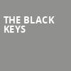 The Black Keys, BBT Pavilion, Philadelphia